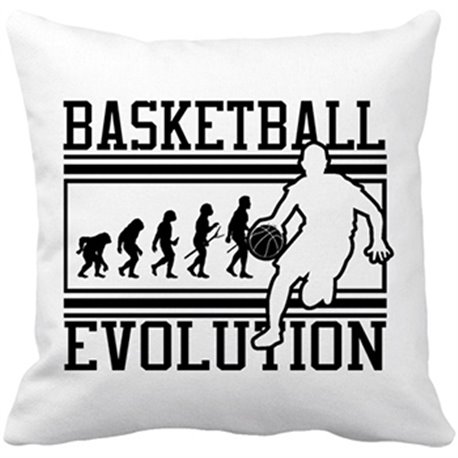 Cojín con relleno Basketball Evolution