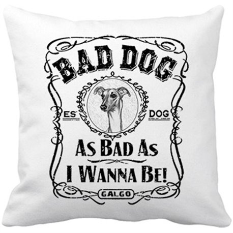 Cojín con relleno frase perro mascota raza Galgo Bad dog as bad as I wanna be