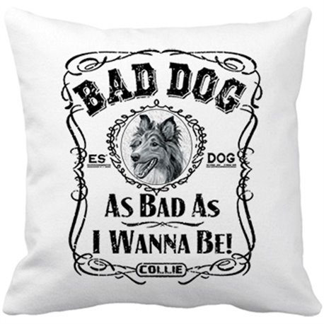 Cojín con relleno frase perro raza Collie Bad dog as bad as I wanna be