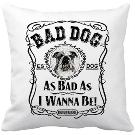 Cojín con relleno frase perro raza English Bulldog Bad dog as bad as I wanna be