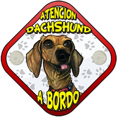 Placa perro a bordo atención Dachshund