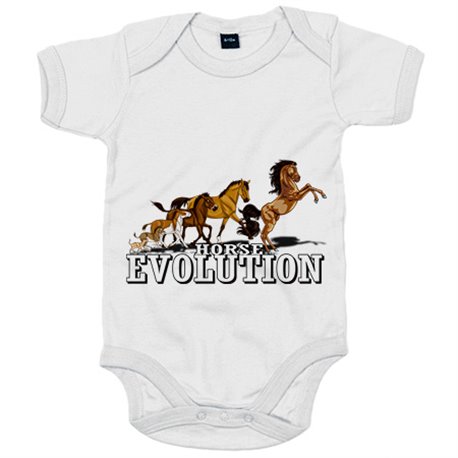 Body bebé horse evolution caballos