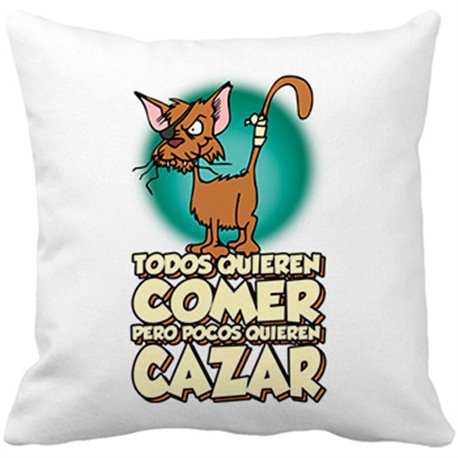 Cojín con relleno gato callejero frase divertida