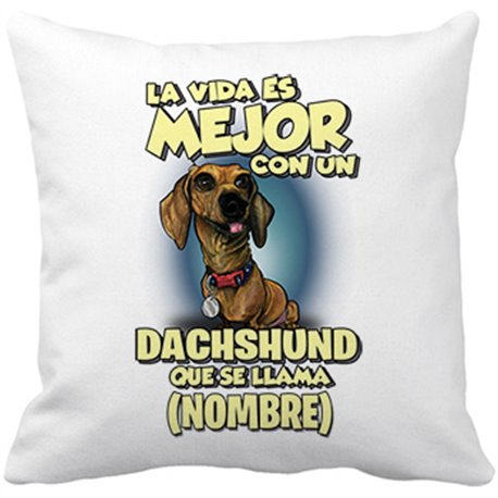 Cojín con relleno la vida es mejor con un perro raza Dachshund que se llama personalizable con nombre